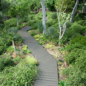 wooden walkway surrounded by trees and bushes